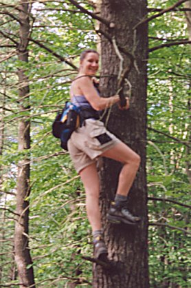 Kate up a tree